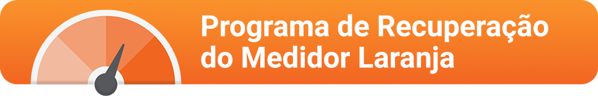 Programa de Recuperação do Medidor Laranja