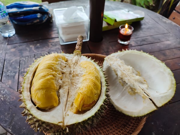 Musang King