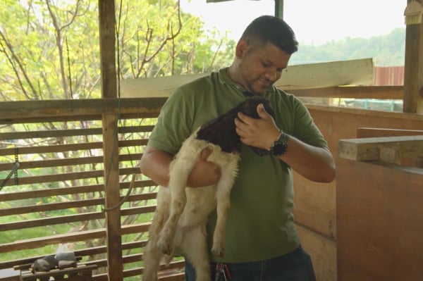 anandh lalamove driver who is a former engineer with one of his goats